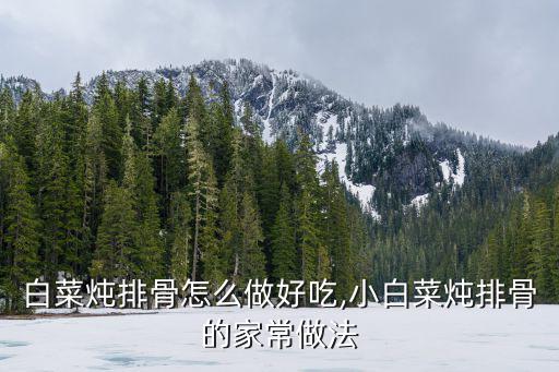 白菜燉排骨怎么做好吃,小白菜燉排骨的家常做法