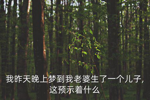 夢見老婆生了個兒子,夢見生兒子是好兆孕婦:生活會幸福