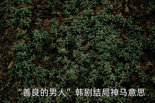 “善良的男人”韓劇結局神馬意思