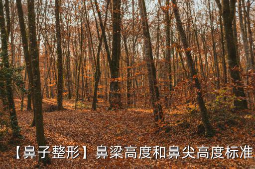 【鼻子整形】鼻梁高度和鼻尖高度標準