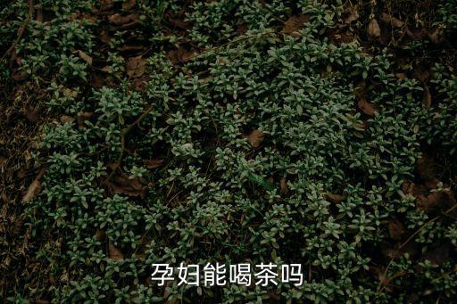孕婦可以喝茶嘛,孕婦可以喝綠茶嗎?一般不會影響睡眠