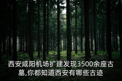 西安咸陽機場擴建發現3500余座古墓,你都知道西安有哪些古跡
