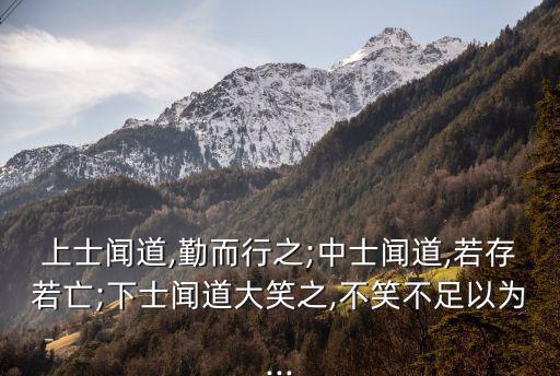 上士聞道,上士聞道若存若亡不足為奇正常語文