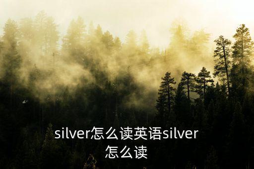 silver怎么讀英語silver怎么讀