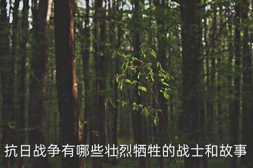 抗日戰爭有哪些壯烈犧牲的戰士和故事