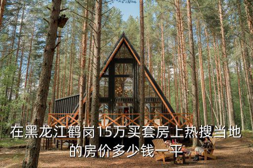 在黑龍江鶴崗15萬買套房上熱搜當地的房價多少錢一平