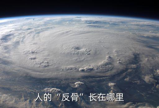 人的“反骨”長在哪里