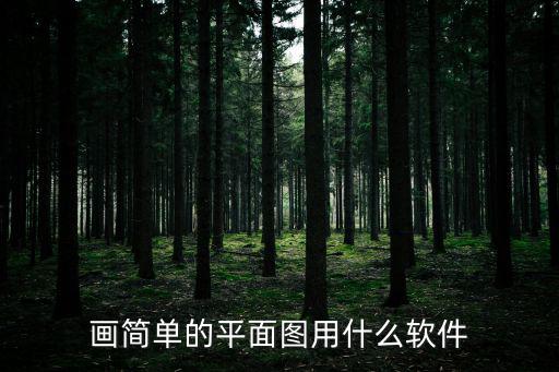 畫簡單的平面圖用什么軟件