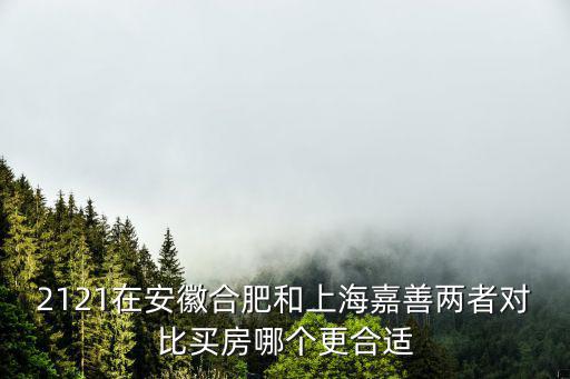 2121在安徽合肥和上海嘉善兩者對比買房哪個(gè)更合適