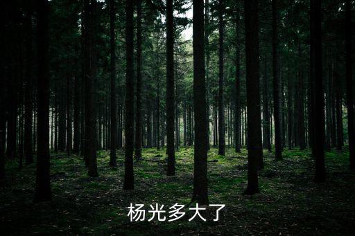 楊光多大了