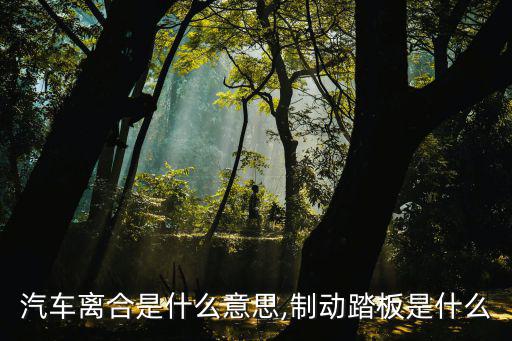 制動踏板,汽車制動踏板的含義