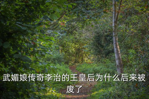 武媚娘傳奇李治的王皇后為什么后來(lái)被廢了