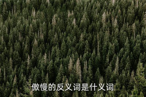 傲慢的反義詞是什義詞