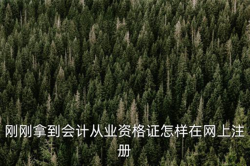 剛剛拿到會(huì)計(jì)從業(yè)資格證怎樣在網(wǎng)上注冊(cè)