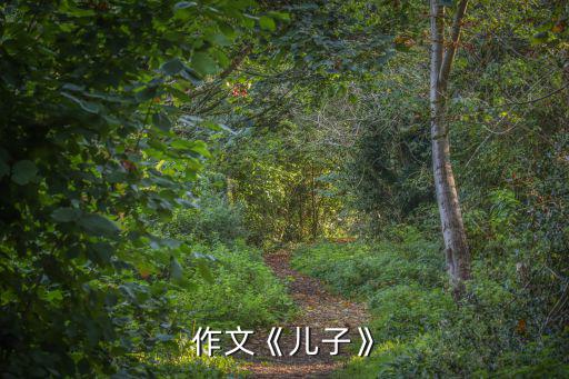 作文《兒子》