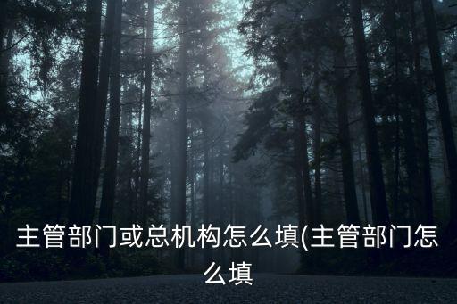 部門怎么填寫,主管部門或總機(jī)構(gòu)怎么填