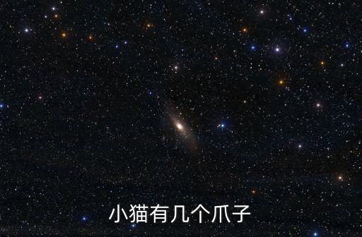 小貓有幾個爪子