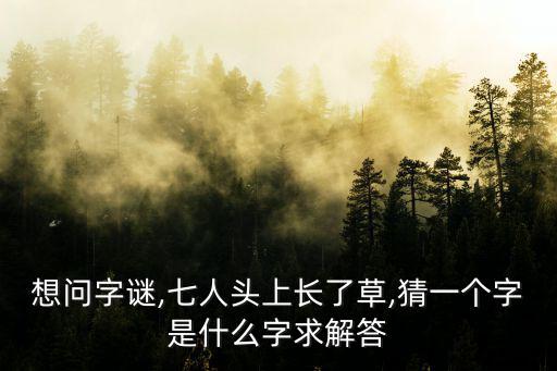 想問字謎,七人頭上長了草,猜一個字是什么字求解答