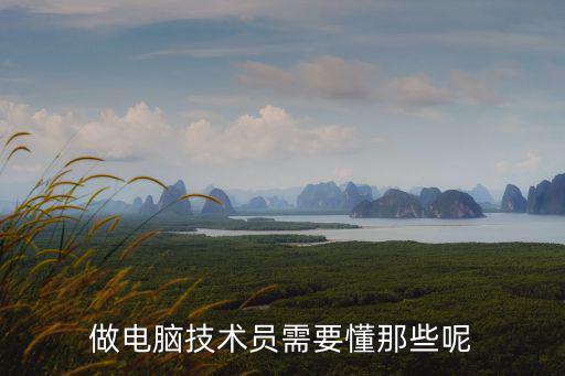 做電腦技術(shù)員需要懂那些呢