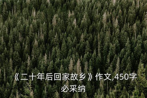 二十年后的家鄉450字,《二十年后回家》作文450字