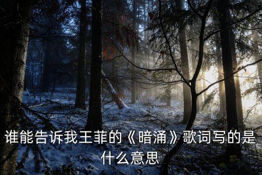 暗涌歌詞,王菲《暗涌》歌詞看意境不用歌詞