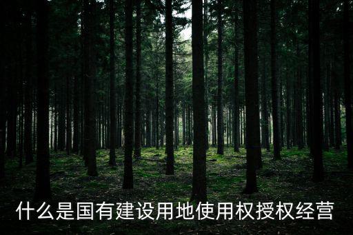 什么是國有建設用地使用權授權經營