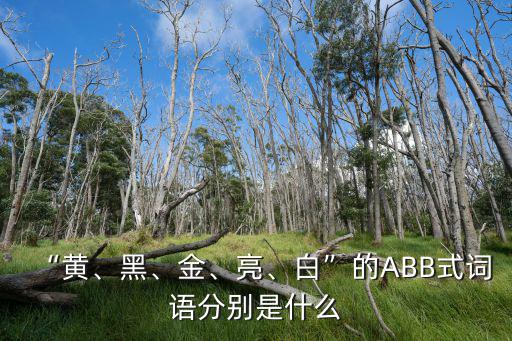 黑什么什么abb,黑乎乎黑漆漆:形容很黑