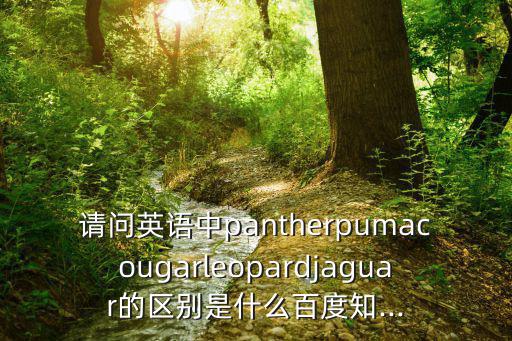 豹子英文,中國豹屬分布于中國南北地區