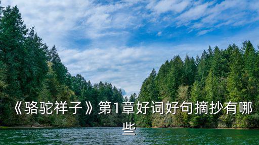 《駱駝祥子》第1章好詞好句摘抄有哪些