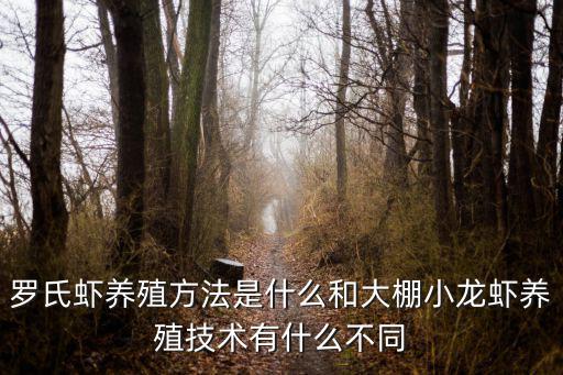 羅氏蝦養殖方法是什么和大棚小龍蝦養殖技術有什么不同