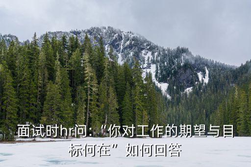 工作期望,面試時被問:你對工作的期望與目標何在?