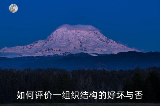 如何評價一組織結構的好壞與否