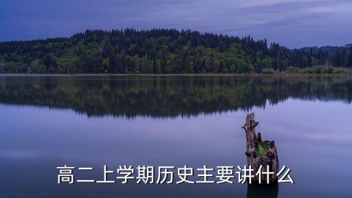 高二上學期歷史主要講什么