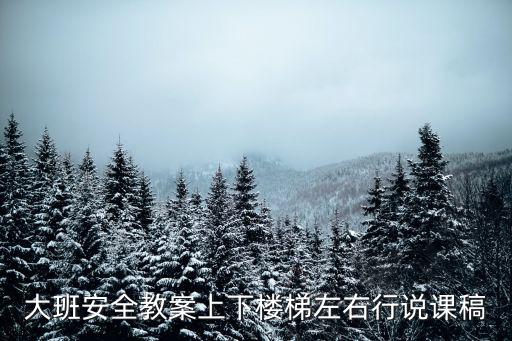 大班安全教案上下樓梯左右行說(shuō)課稿