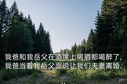 岳父在上,不要在岳父岳母面前花錢好不好