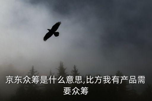 開始眾籌,關(guān)于京東眾籌你必須知道的事