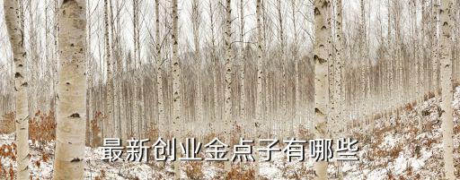 最新創(chuàng)業(yè)金點(diǎn)子有哪些