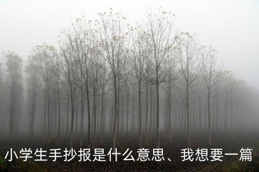 我是小學生手抄報,小學生開學手抄報內容有哪些?
