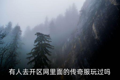 有人去開區網里面的傳奇服玩過嗎