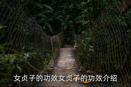 女貞子治療脫發(fā),女貞子功效介紹:可恢復(fù)肝腎明目烏發(fā)