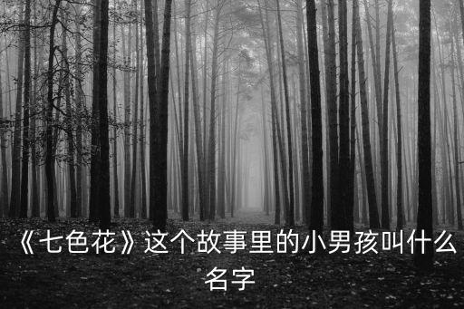 《七色花》這個故事里的小男孩叫什么名字