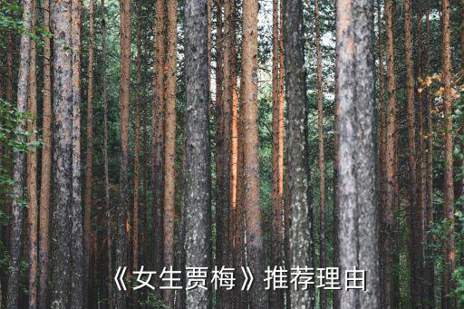 女生賈梅,《女生賈梅全傳》推薦理由:作者筆下的我