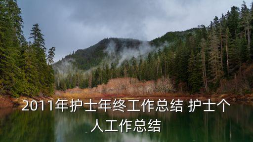2011年護(hù)士年終工作總結(jié) 護(hù)士個人工作總結(jié)