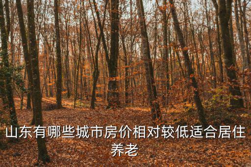 山東省內哪個市房價最低，山東省哪個城市房價最低