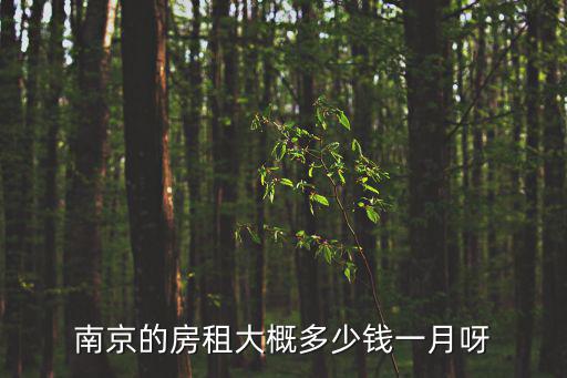 南京的房租大概多少錢一月呀