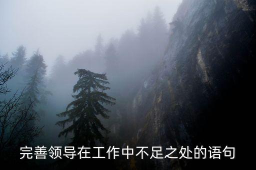 完善領(lǐng)導(dǎo)在工作中不足之處的語(yǔ)句