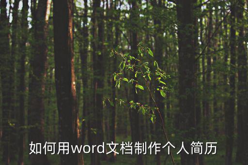 如何用word文檔制作個人簡歷