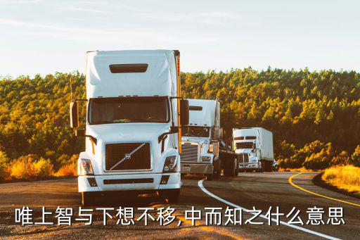 唯上,唯上智與下愚不移和中而知之有何差別?