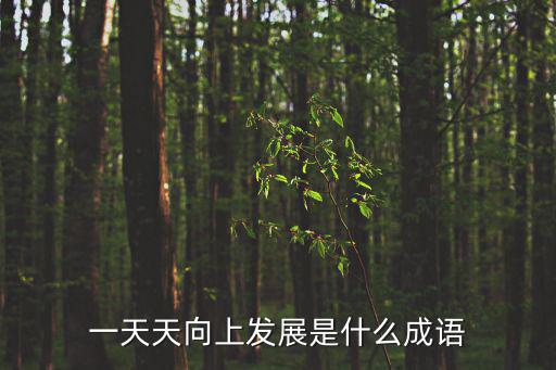 一天天向上發(fā)展是什么成語