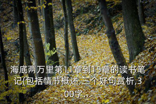 海底兩萬里第11章到15章的讀書筆記(包括情節概述,三個好句賞析,300字...
